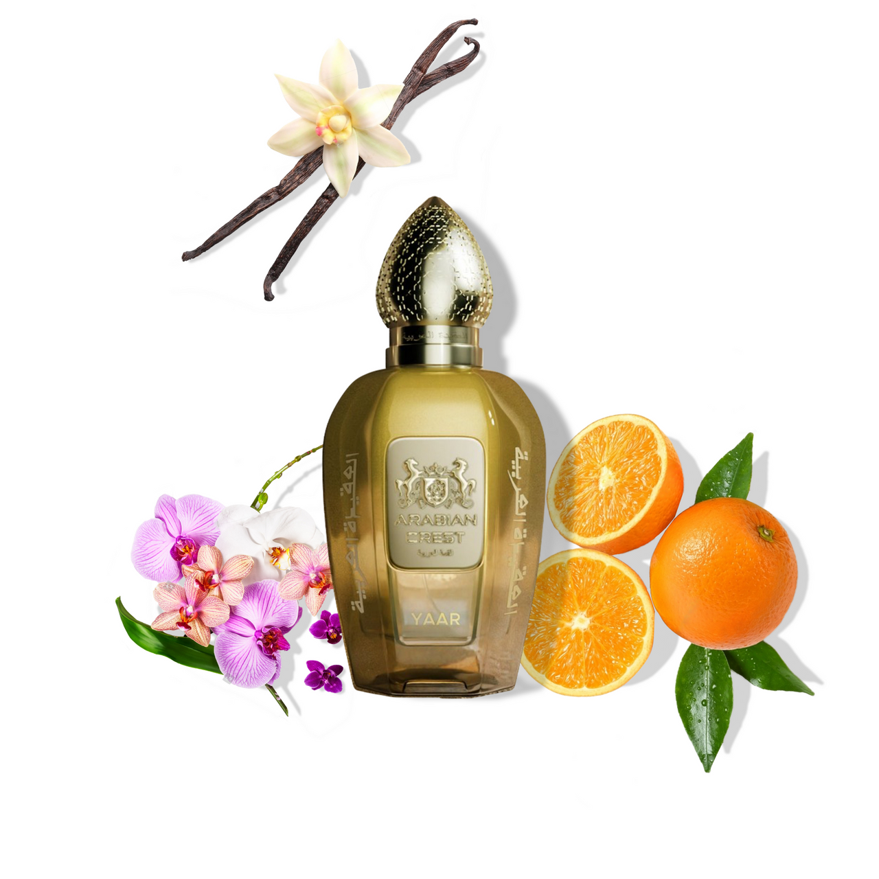 Perfume bottle with vanilla bean, orange slices, and flowers on a white background